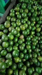 JERUK PERAS 1kg /500gr/250gr