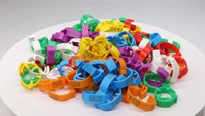 100Pcs Chicken leg bands Adjustable Chicken leg ring Gamefowl Numbered tag Poultry Label buckle clip ring