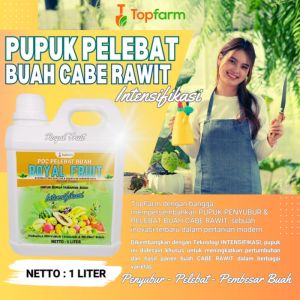 Pupuk Cabe Rawit Pelebat Buah: Panduan Lengkap