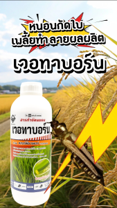 เวอทาบอร์น ขนาด 1 ลิตร คลอร์ฟีนาเพอร์ 10% หนอนกอ หนอนกระทู้ หนอนกระทู้ข้าวโพดลายจุด