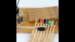074-1 / 074-2 SPEEDS Sikat Gigi Bambu Bamboo Toothbrush Biodegradable Eco Friendly