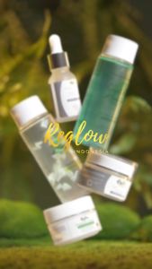Paket Basic Reglow Skincare memperbaiki skin barier kulit wajah alami bebas mercury