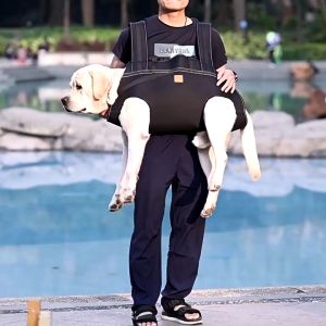 อุปกรณ์พยุงสุนัขชนิดยกทั้งตัว เคลื่อนย้ายน้องหมาตัวใหญ่
