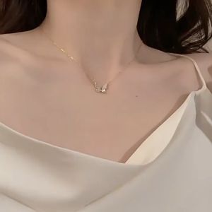 Korean New Style Shell Butterfly Necklace For Women Butterfly Pendant Fashionable Light Luxury Niche Design High-end Temperament Clavicle Chain Necklace Jewelry Kalung Loket Rama-rama项链锁骨链