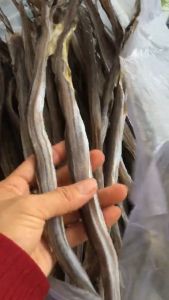 KHÔ CÁ LẠT CÂY VỊ VỪA ĂN - TÚ VY FOOD - MỒI BÉN NGON RẺ