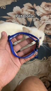 Pet Reflector Dog Collar Reflective Collar Adult Kitten Puppy Dog Dogs Cat Cats Pet Accessories