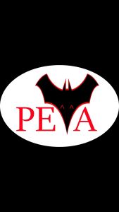 NIU Motor Cover Protection Waterproof Dust UV Selimut Motor MQI-GT NQ1 NQI UQI UQI-GT