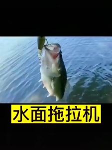 TPR Soft Lure Worm Silicone Bait T Tail Swimbait Streamer Sea Fishing Minnow Lure Floating Tackle