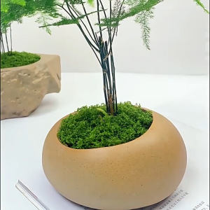 200g Green Fake Moss / Simulated Artificial Moss Turf / Fake Filamentous Moss / Green Plant Lawn Bonsai Decoration