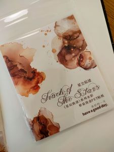 Fairy Lights Journal - READY STOCK/ art journaling/ scrapbook deco/ Star Track PET stickers