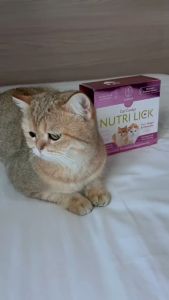 POODEE PETS Malaysia New Zealand Cat Candys Nutri Lick Cat Pet Premium THAI CHICKEN SALMON BEEF Nutritional Supplement Cat Vitamin