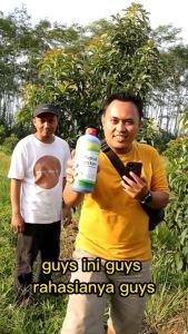 Pupuk Agro Lestari 1 Liter - Pupuk Organik Cair Penyubur dan Pelebat Buah dan Sayuran
