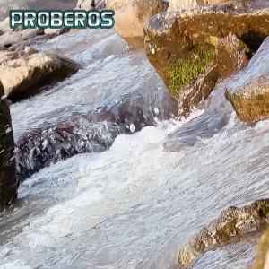 PROBEROS 5 Bộ Mồi Spinner 10G 14G Kim Loại Dụ Cá Cứng Dụng Cụ Câu Cá Xoay Wobbler Cho Nước Ngọt & Nước Mặn Pike Fishing