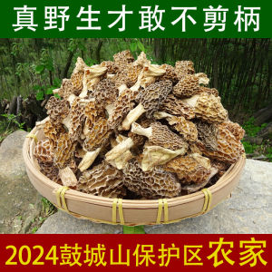 Wild Morel Dry Goods Selected Pure Natural Sheep and Mushrooms 500G in Deep Mountains of Gucheng Mountain Are Better than Those in Yunnan Tibet