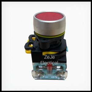 22mm -Electrical PUSH BUTTON - MOMENTARY | ZeJe
