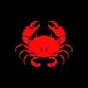 CRAB VARIASI MOTOR