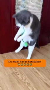 Bola Kucing Otomatis/Bola Kucing Pintar/anak Kucing Secara Otomatis Menghindari Latihan Fisik Hewan Peliharaan Kucing/Anjing/Mainan Kucing Elektrik