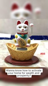 Lucky Coins & Pangsabit: Enhancing Money Attraction with Feng Shui