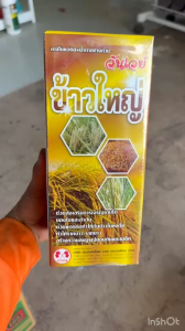 อะมิโน + น้ำตาลทางด่วน ข้าวใหญ่ ฮอร์โมนข้าว อะมิโนข้าว เร่งเต่ง สั่งเบ่ง ลมเบ่ง เร่งออกรวง ออกสุด เพิ่มน้ำหนักข้าว 1L.