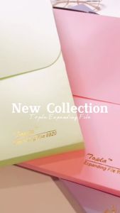 Topla Organizer Document Organizer 13-Pocket A4 - Warna Pastel dengan Pegangan Kuat