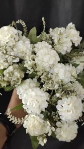 Bunga Pom-Pom Panca Warna & Dekorasi Cafe & Rumah