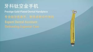 Niceden | Mũi Khoan Nha Khoa Tốc Độ Cao Niceden Với Tay Cầm Mạ Titan 5 Đèn LED Bạc Đạn Gốm 5 Lỗ Nút Nhấn Turbo Dùng Cho Phẫu Thuật Nha Khoa