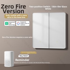 Ultra-thin Dual-control Smart Switch Panel Mesh 2.0
