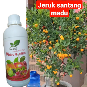 Pupuk Cair 500 ml Booster Untuk Penyubur Pelebat Tanaman Cepat Berbuah Anti Rontok