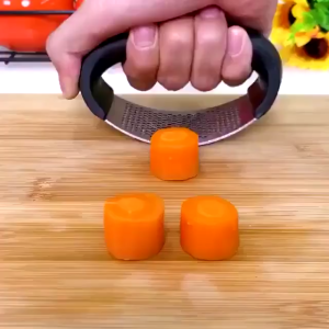 Alat Penghancur Bawang Putih Press Penghalus Bawang Putih Praktis Manual / Alat Press Bawang Tekan