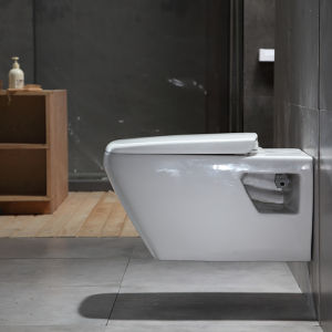 Wall Hung Toilet Space Saving Hidden Tank Water Saving