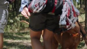 Instinct Ultimate Protein Grain Free Cage Free Chicken Recipe อาหารแมวแห้งธรรมชาติขนาด4ปอนด์ถุง