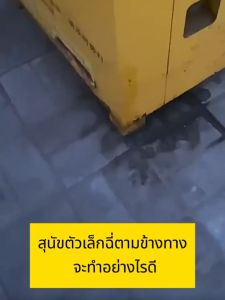 สเปรย์ป้องกันสุนัข ไล่หมา ไล่แมว ป้องกันสุนัข แมว ขับถ่าย ปลอดภั ขนาด 500 ml สเปรย์แล้วกำหนดเขตหวงห้าม สเปรย์สมุนไพร สเปรย์ป้องกันสุนัข ไล่แมว ไล่หมา