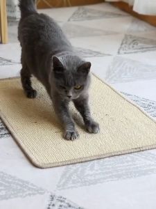 Cat scratch board sisal mat anti-cat scratch sofa protection large claw grinder cat supplies