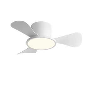HUANGJIANG | Compact Silent Ultra-thin Ceiling Fan with Light