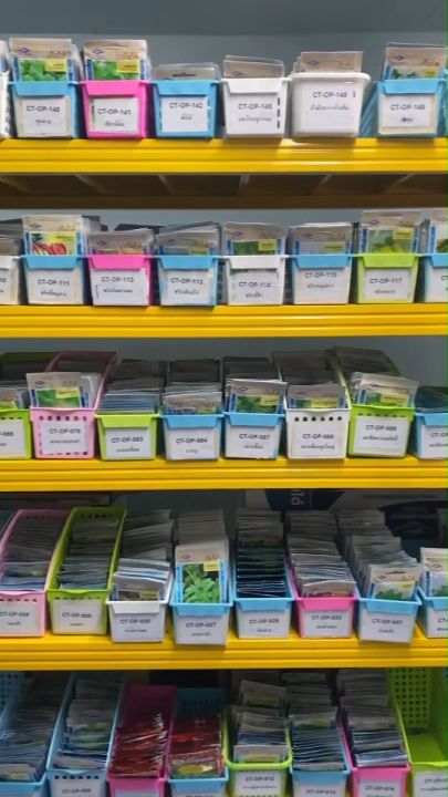 เมล็ดพันธุ์คะน้าใบ เจียไต๋ CT/OP-009