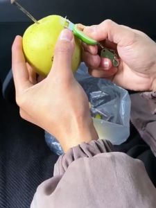 BECORATE Cute Avocado Peeler – Mini Pocket-Sized Tool for Fruits Picnics & Kitchen Decor