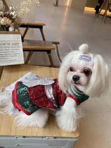 Jlsc Pet Christmas Party Nightclub Cos Dress Birthday Pet Photo Christmas Carnival Night Dogs and Cats Dress