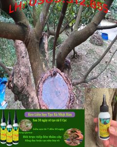 Keo Liền Sẹo Tạo Xù 50ml Cho Mai Vàng Bonsai – Keo Bôi Vết Cắt Cành Tạo U Nần Thân Cây