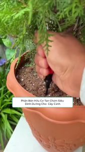 [CHÍNH HÃNG]Phân bón Viên vitamin dạng nén phân bón tan chậm bổ sung dinh dưỡng cho cây HIỆU ÔNG GIÀ MUA 5 TẶNG 1