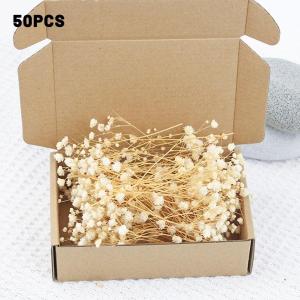 50pcs Dry Flowers Gypsophila Floral Arrangement Dried Flower Eternal Flower Creative DIY Home Wedding Decoration Gift
