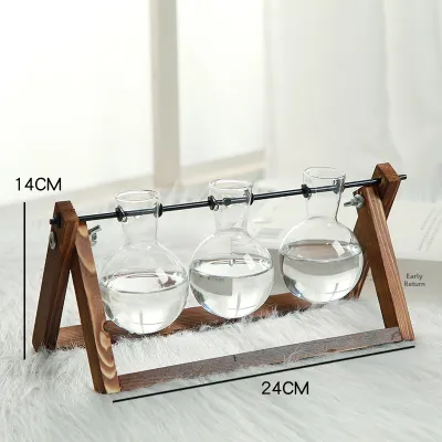 Simple Glass Transparent Vase for Water Culture and Greenery Display