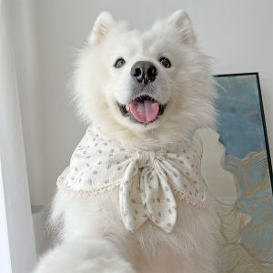 Adorable Triangle Scarf Dog Sweater for Small Medium Large Dogs Golden Retriever Samoyed Shiba Inu Pet Accessories
