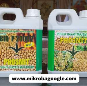 Paket Pupuk Mikroba Google Bio P2000Z + Phosmit