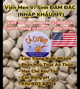 (10+1) Vi Sinh Viên Nén USA (Viên To 3g) Viên Vi Sinh làm trong nước diệt rêu tảo hồ cá koi (MỸ)