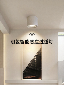 FANCY LAMP CLUB | Induction Light Modern Ceiling Light for Entrance Door