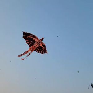 Diều Batman Lớn Ngọc Ngà