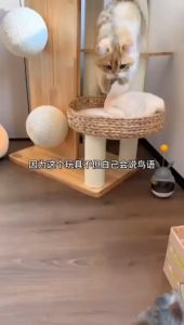 **Simulation Bird Cat Toy Interactive Cat Toy Bird Sound Cat Toy Scratch-Resistant Realistic Bird Toy Feather Cat Toy Self-Entertainment Cat Toy Stuffy Relief Toy Cat Teaser Toy**