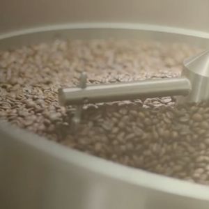NEW ARRIVAL Guatemala Red Pacamara Natural Coffee 100%Arabica Fresh Roasted Specialty Coffee