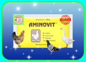1 SASET AMINOVIT 100 GR VITAMIN AYAM TELUR OBAT BREEDING PEMBIBITAN DAYA TETAS TELUR BURUNG MERPATI BEBEK ANGSA MURAI LOVEBIRD BY MEDION