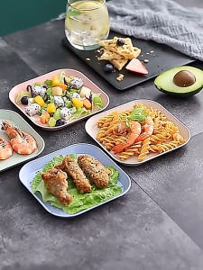 Pinggan Persegi Jerami Gandum Wheat Straw Square Plastic Plate Sauce Dried Fruit Dessert Salad Spit Bone Dish Plates Dinnerware 小麦秸骨碟